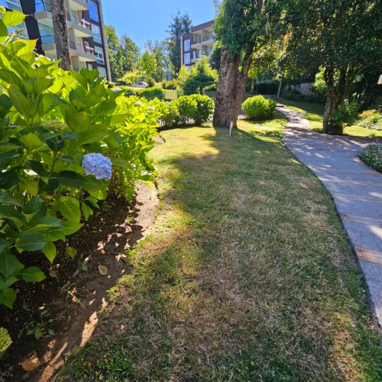 Bello departamento Pucon - Two-Room Apartment - 38
