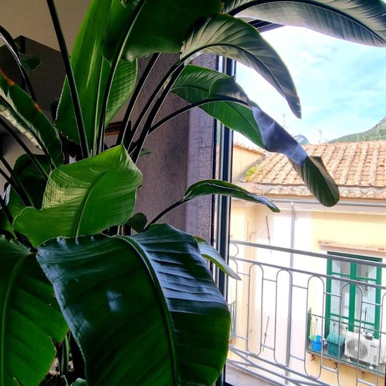 Maison Grimoaldo10 - Casa con 1 Camera da Letto - 14