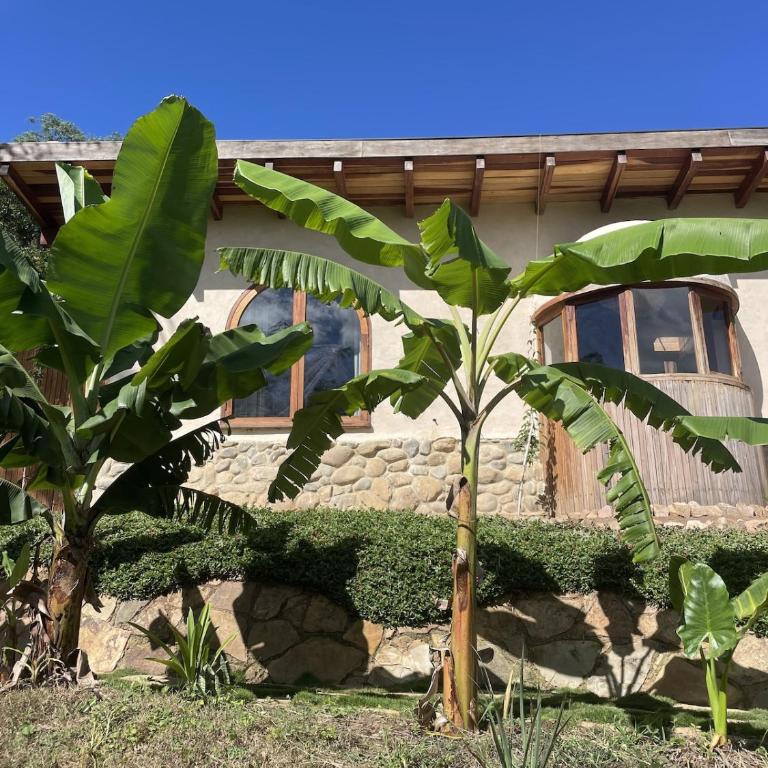 CasaCactus - EcoHouse in the mountains - Samaipata - Two-Bedroom Villa - 20