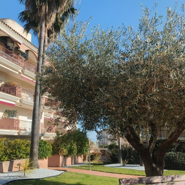 Apartamento La Tierra - Apartamento Deluxe - 38