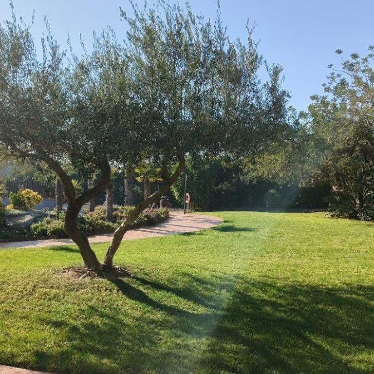 Apartamento La Tierra - Apartamento Deluxe - 44