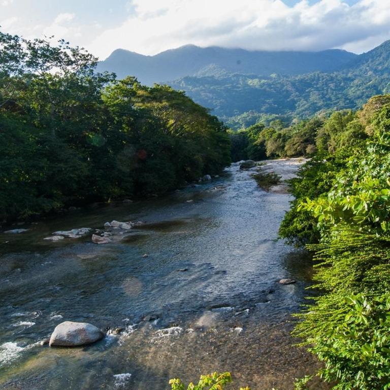 Casa Victoria Regia , only 10 minutes from Tayrona - Villa - 6