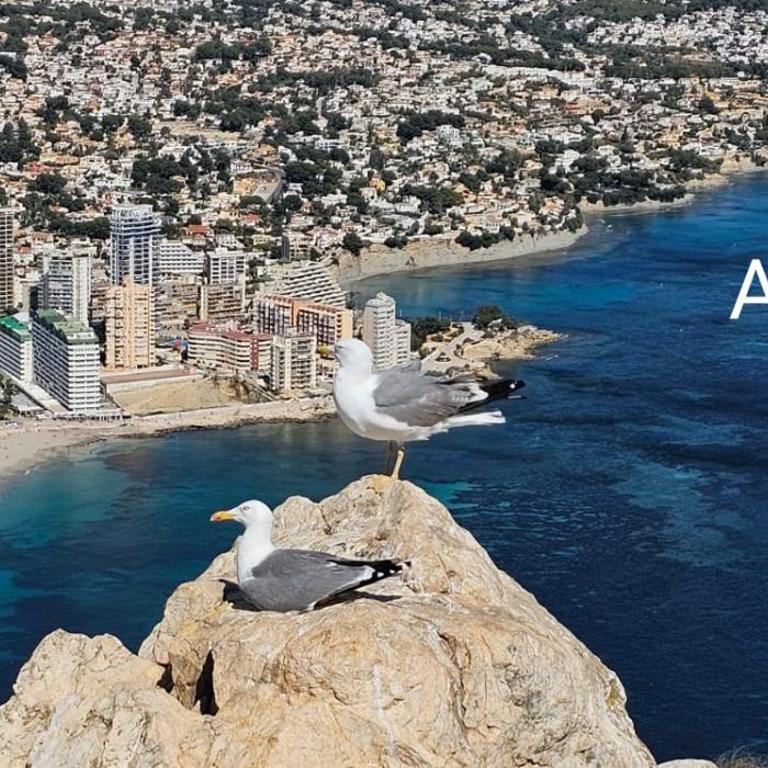 APTO Acceso Directo Playa La Fossa Calpe - Apartamento - 63