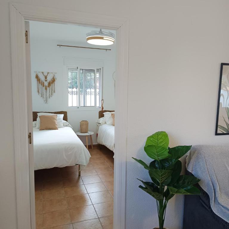 Casita Alejandro - Apartamento de 2 dormitorios - 5