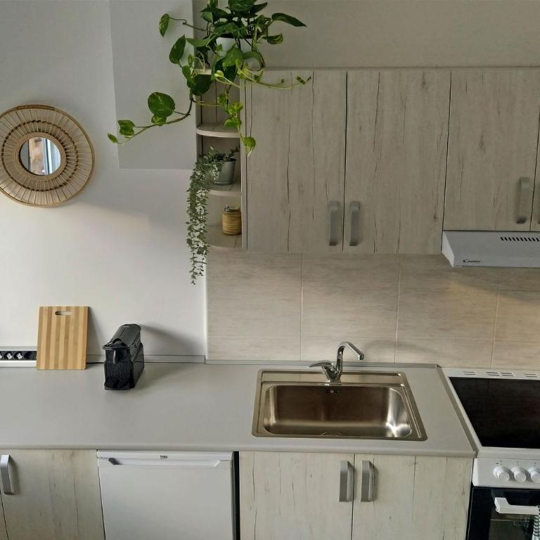 Kapetan Mišina - Apartman sa 1 Spavaćom Sobom - 4