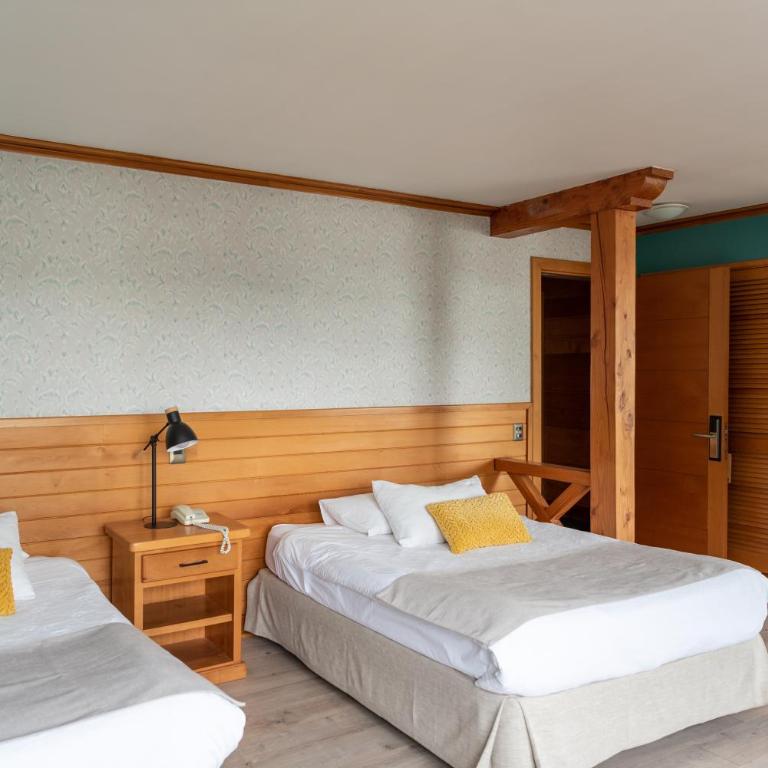 Hotel Puelche - Premium Twin Room - 4
