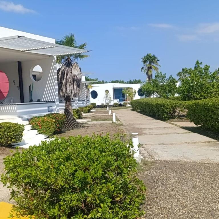 cabin in Puerto Velero Atlantic 05 - Two-Bedroom Apartment with Terrace and Sea View - 9