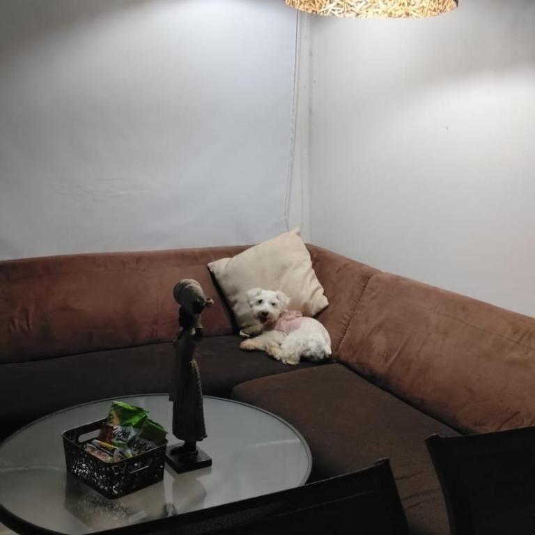 Oceanfront cabin in Puerto Velero Atlantic - Two-Bedroom Apartment with Terrace and Sea View - 47