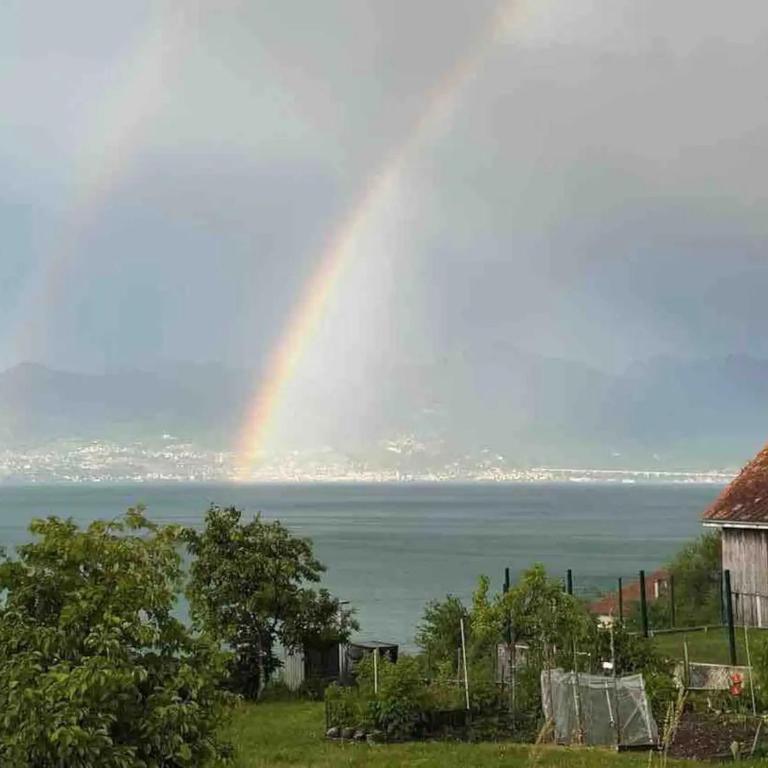 Chez Malou & Hugo vue lac proche Suisse & stations ! - Maison 2 Chambres - 41