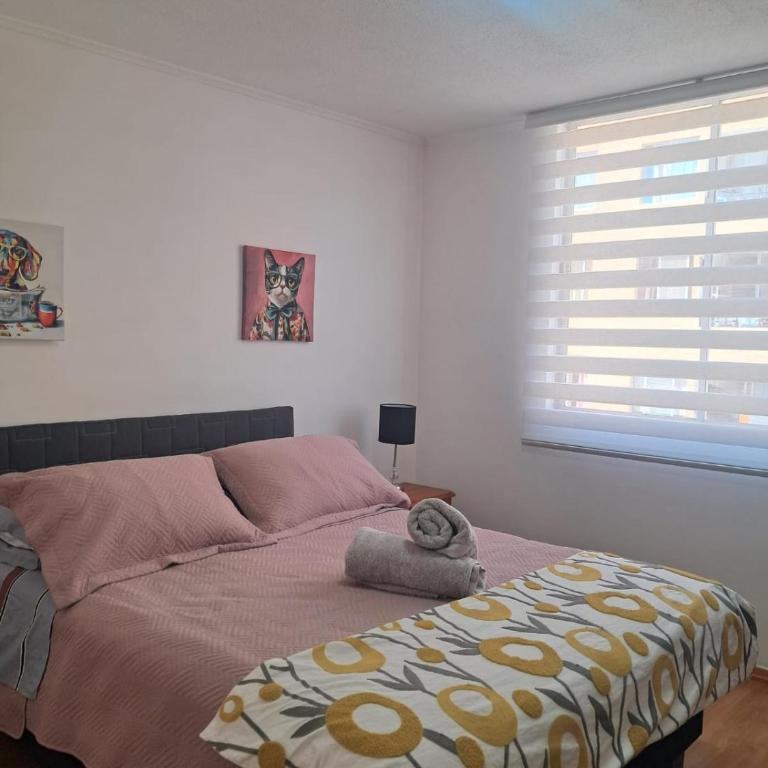 Moderno Depto 1D con Estacionamiento Gratis Ideal Trabajo - One-Bedroom Apartment - 20