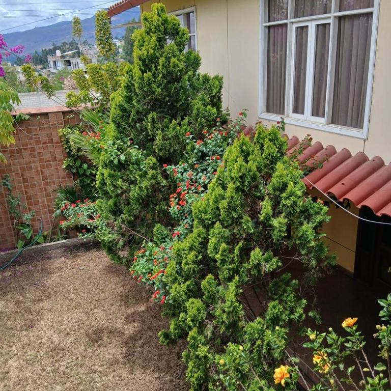 La Paccha House - Casa - 4
