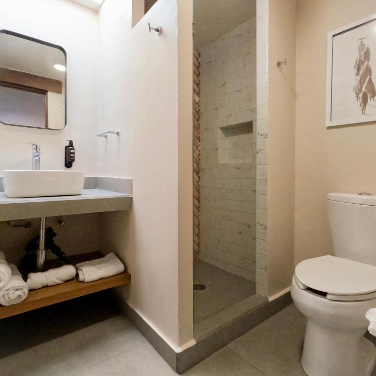 Mi Zona Lodging Coyoacán - Three-Bedroom House - 4