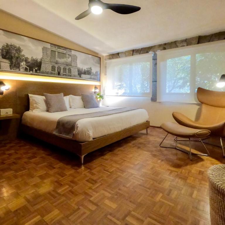 Mi Zona Lodging Coyoacán - Three-Bedroom House - 9