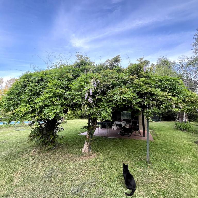 Cabaña en la naturaleza El Mangangá - Casa con 1 dormitorio - 20