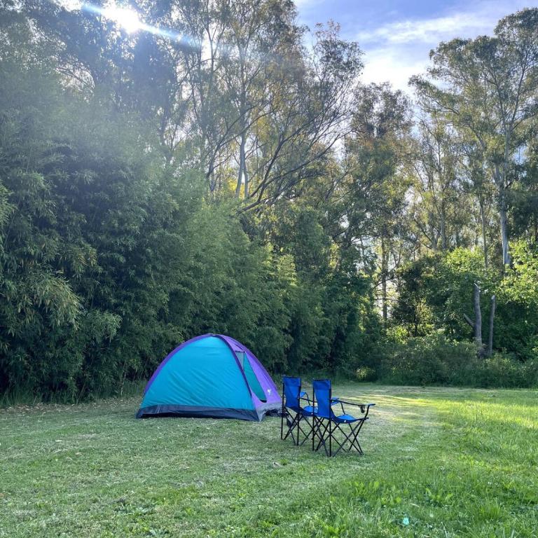 Cabaña en la naturaleza El Mangangá - Casa con 1 dormitorio - 30