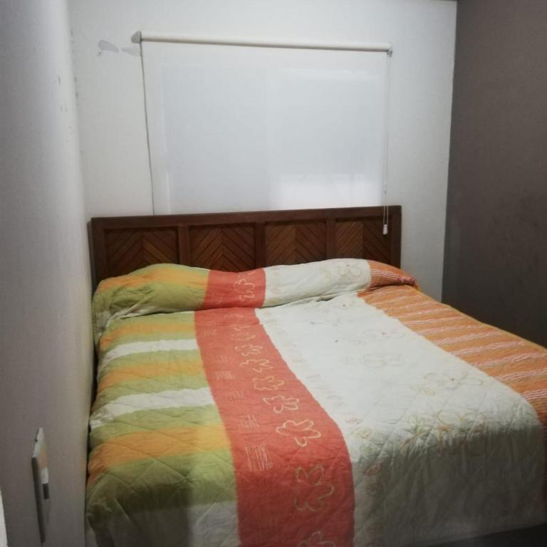 Ground floor, central 2 bedrooms 2 bathrooms - Apartamento de 2 dormitorios - 12