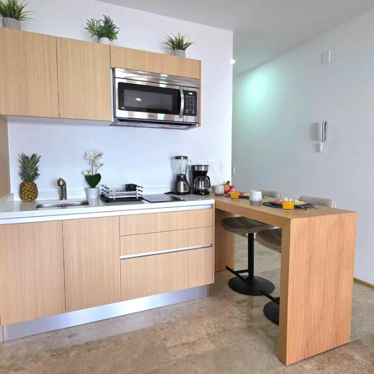 New Luxury Studio in the City Center - Deluxe Studio - 71