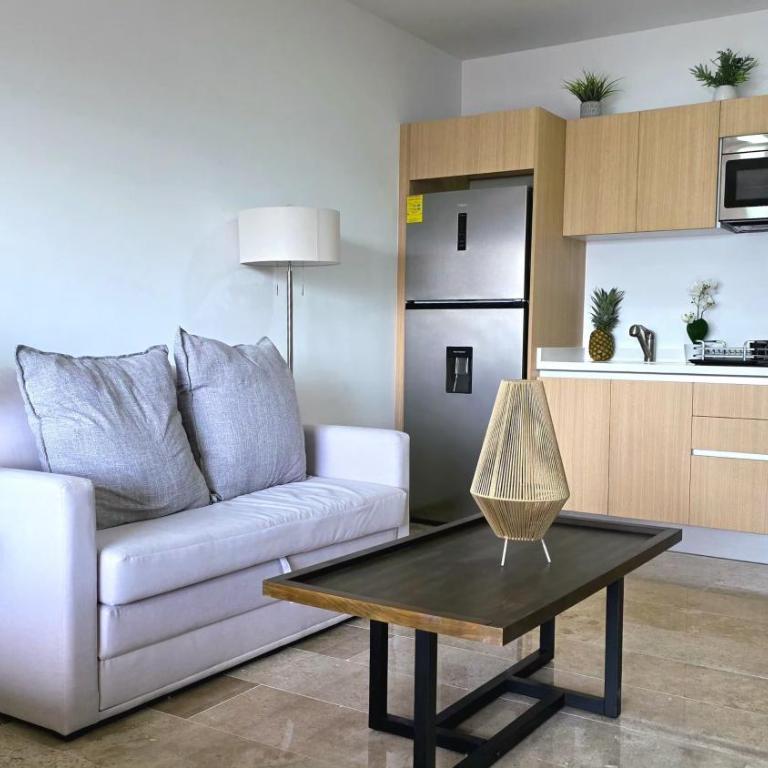 New Luxury Studio in the City Center - Deluxe Studio - 61
