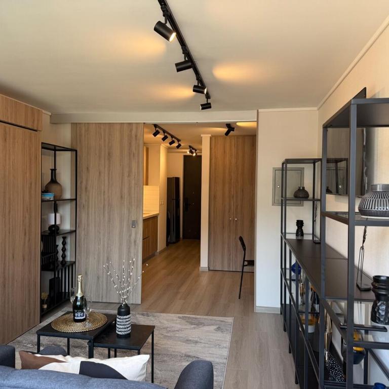 Modern and fully equipped apartment in Las Condes - One-Bedroom Apartment - 24