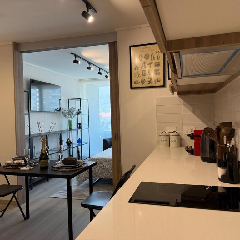 Modern and fully equipped apartment in Las Condes - One-Bedroom Apartment - 19