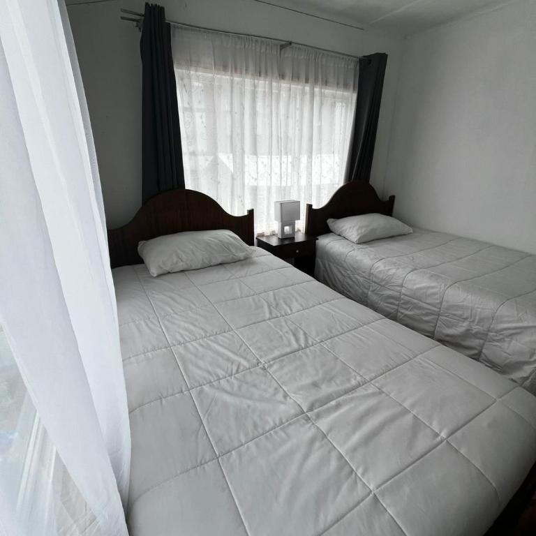 Fungi Hostal - Twin Room - 1