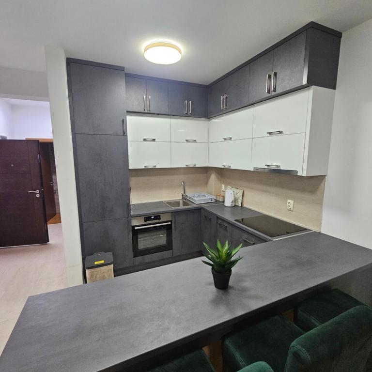 city pro apartman Ulcinj - Apartman sa 1 Spavaćom Sobom - 4
