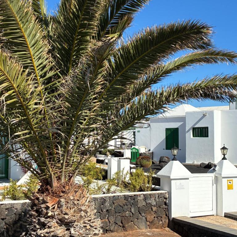 CASA MACA sea view & beach front - Apartamento de 1 dormitorio - 29