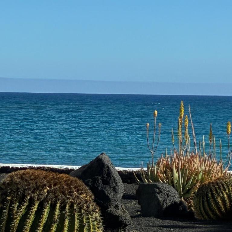 CASA MACA sea view & beach front - Apartamento de 1 dormitorio - 35