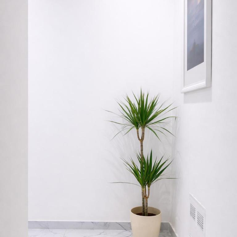 Bed & Garage Apartment in Villa - Appartamento con 2 Camere da Letto - 25