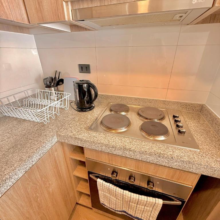 Departamento con estacionamiento incluido, Ideal para ir de compras y conectar con puntos turísticos - Two-Bedroom Deluxe Apartment - 16