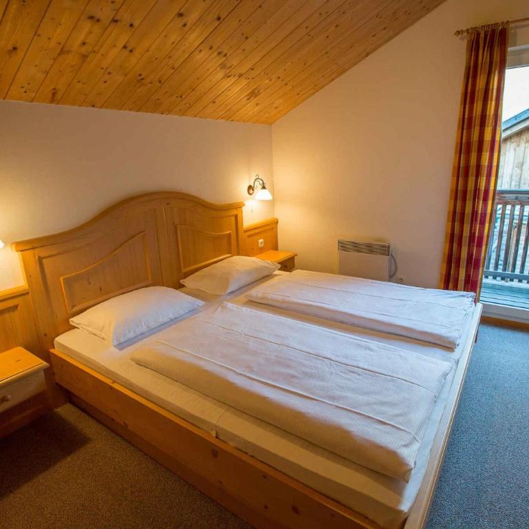 Holiday Homes in Annaberg im Lammertal 384 - Ferienhaus - 6