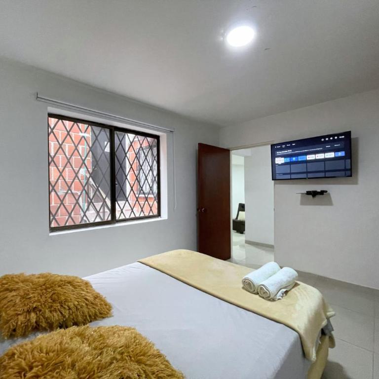 Urban Oasis - Ermita - Apartamento de 2 dormitorios - 4