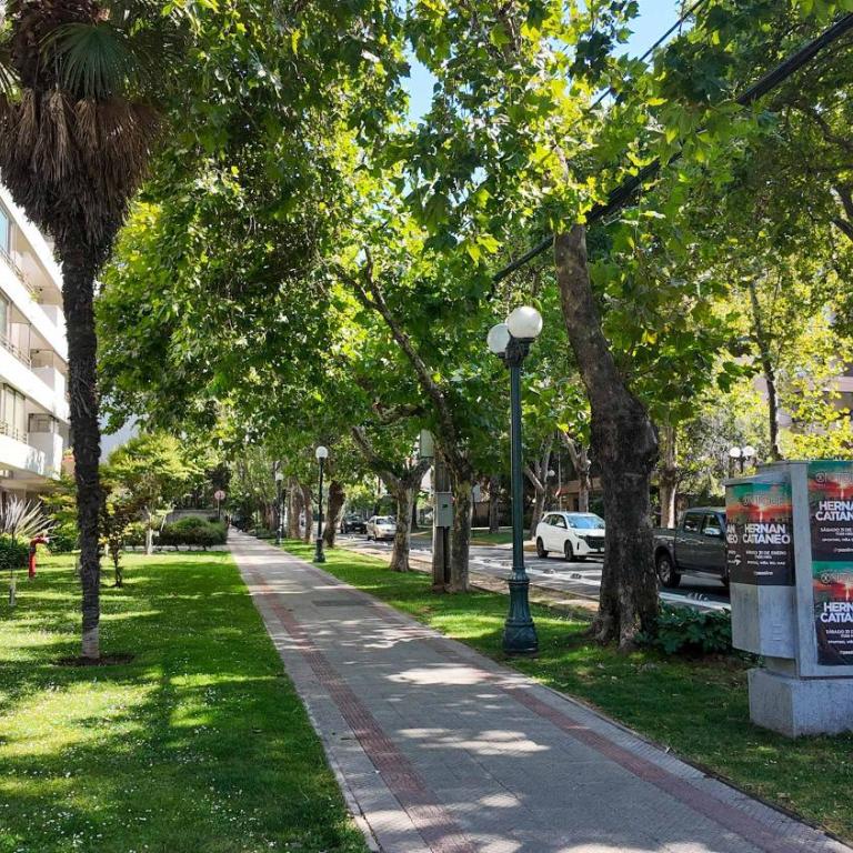 HOM I 3D3B Providencia I Parking I Ines de Suarez - Apartment - 86