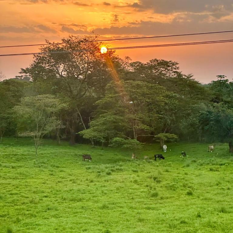 Mirador del Llano Piscina Vista Montaña aves - Three-Bedroom Apartment - 25