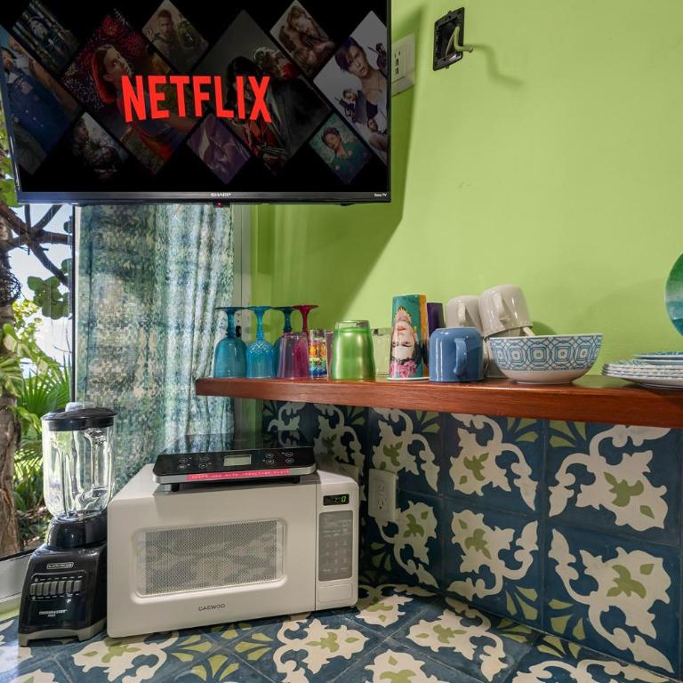 Casa Cielo Studio 1 with Tropical Garden Patio - Studio with Garden View - 13