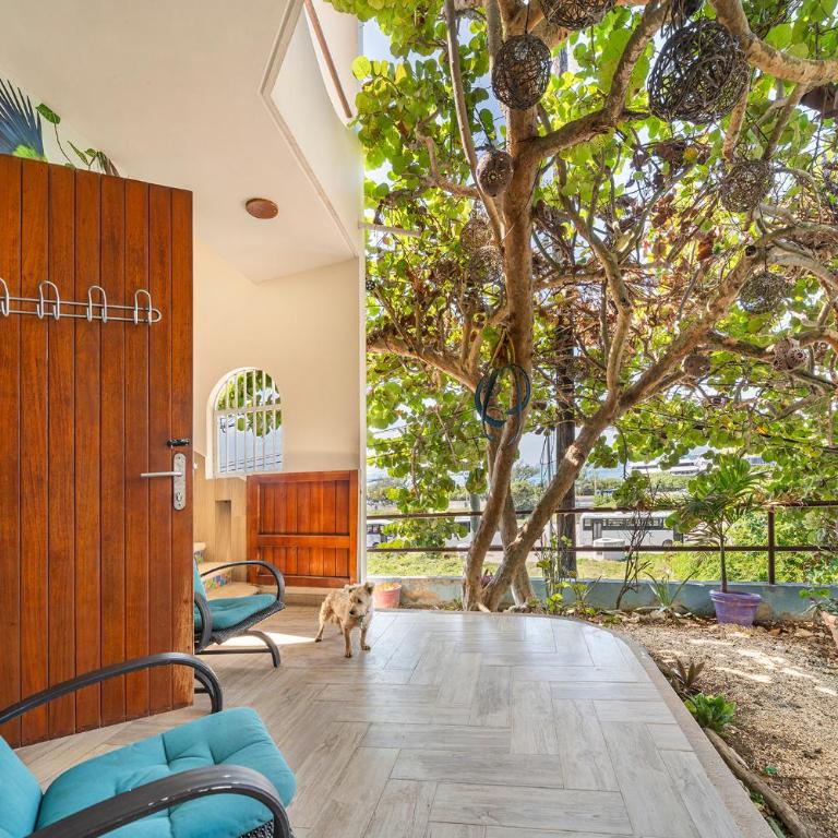 Casa Cielo Studio 1 with Tropical Garden Patio - Studio with Garden View - 3