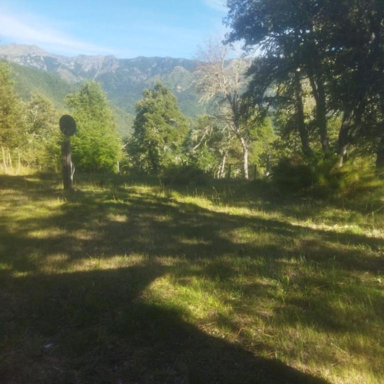 Cabaña en La montaña - One-Bedroom Chalet - 9