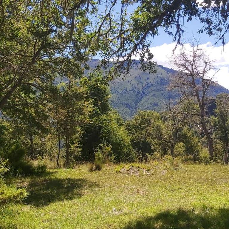Cabaña en La montaña - One-Bedroom Chalet - 17