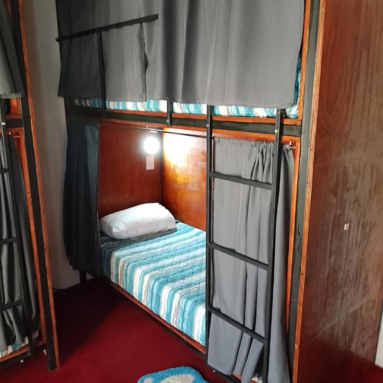 Hostel Küyen Mapu - Bed in 4-Bed Mixed Dormitory Room - 5