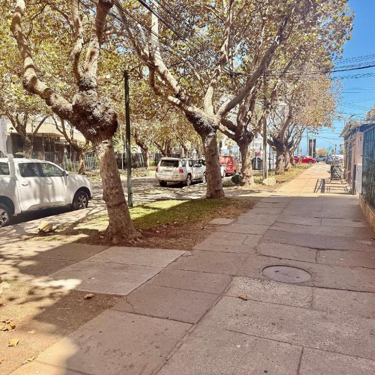 Comfortable apartment in 8 Norte with San Martin - Apartment - 22