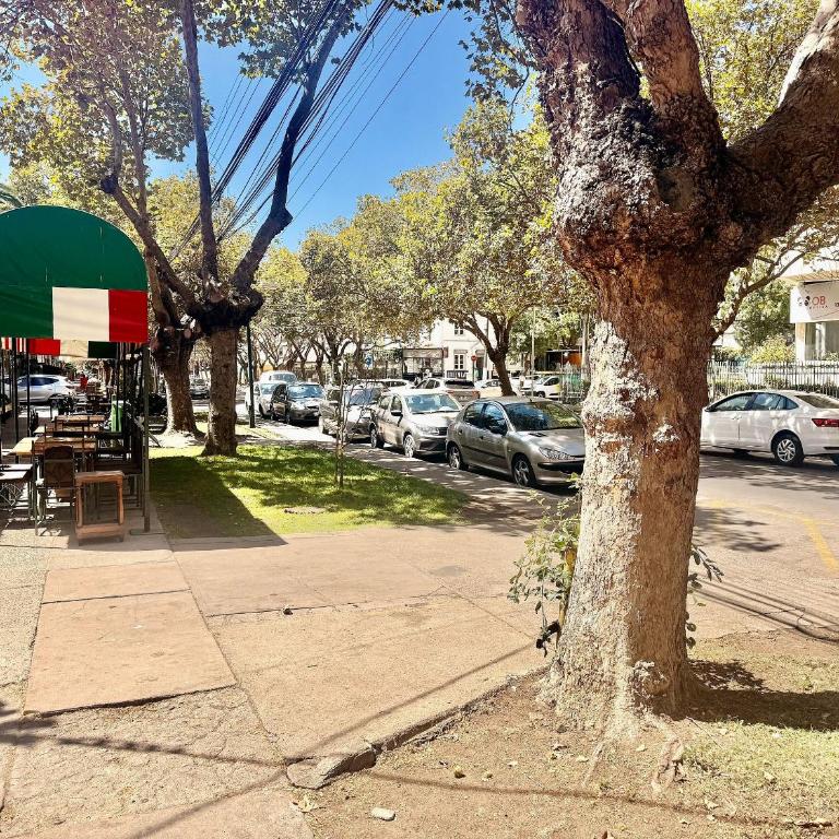 Comfortable apartment in 8 Norte with San Martin - Apartment - 23