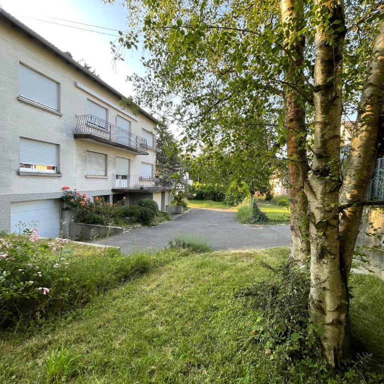 Grand appartement entouré de verdure - Appartamento - 2