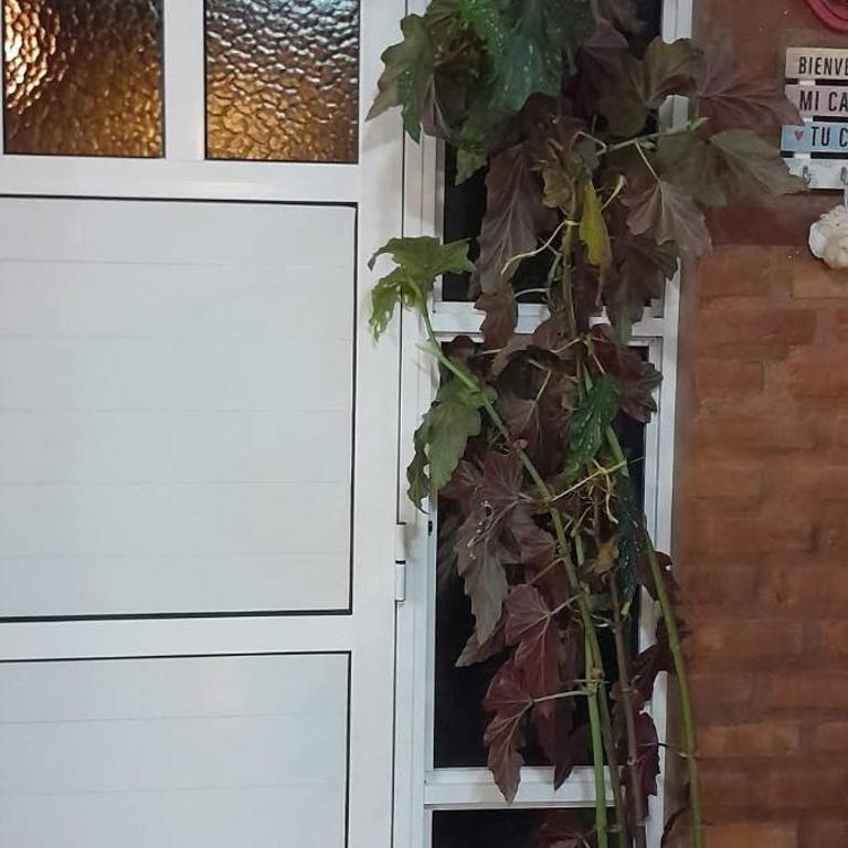 Cabaña Marylin - Casa de 2 dormitorios - 31