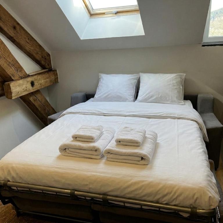 Hyper centre 6 pers 2 chambres 2 salle de bain - Appartement 2 Chambres - 5