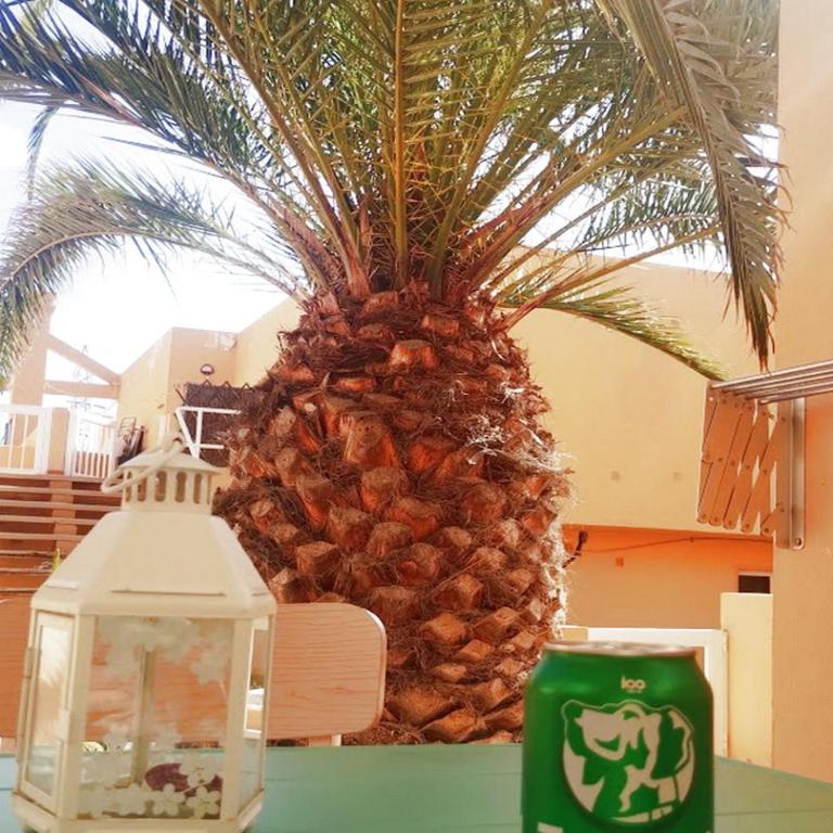 Alex's House - Apartamento de 1 dormitorio - 23