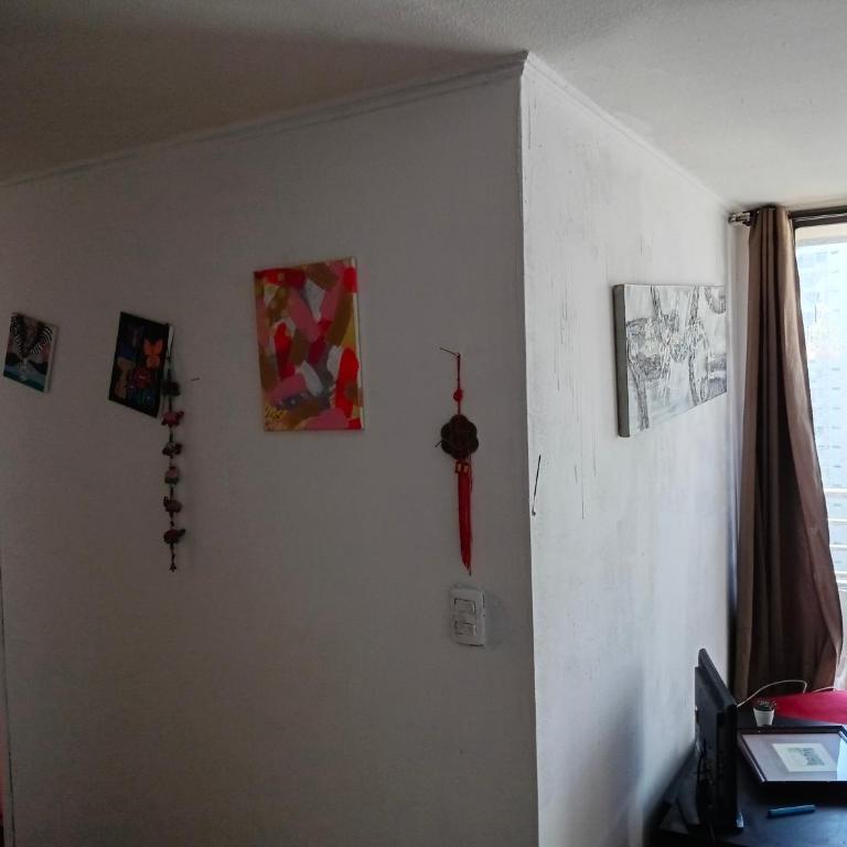 Pieza diaria - Single Room - 5