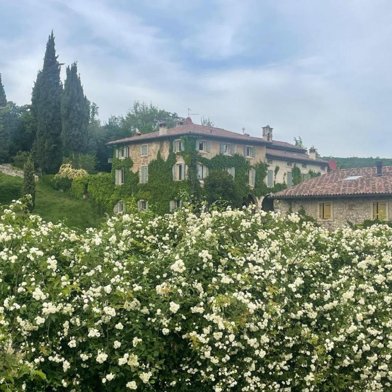 Ca' del Buso - Superior Apartment - 46