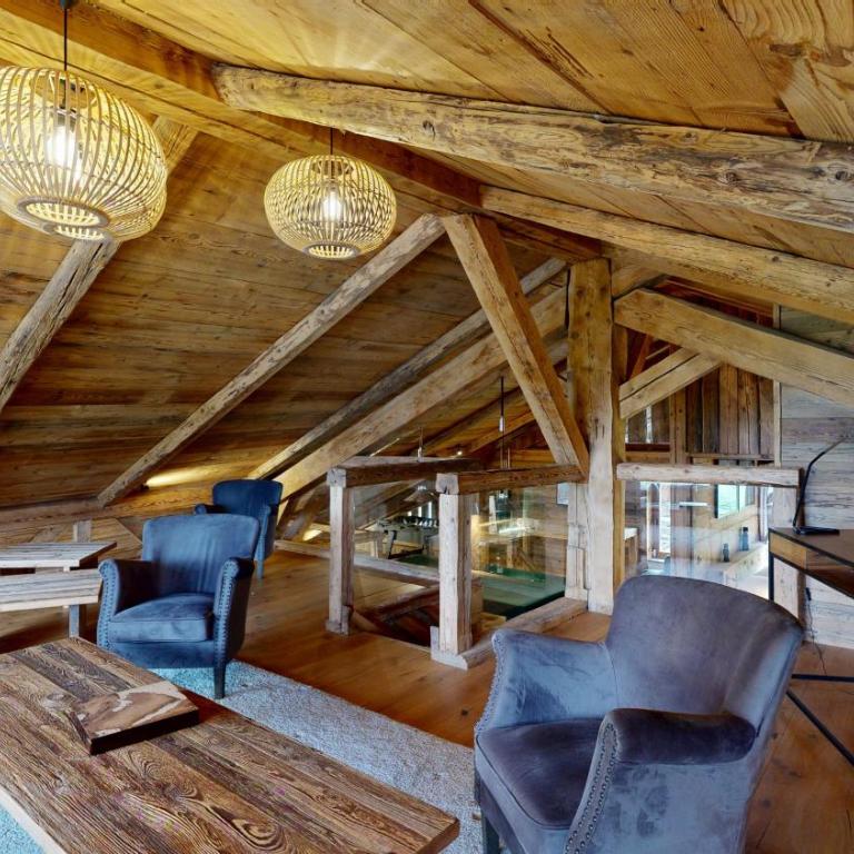 Chalet Drozin - PORTES DU SOLEIL 23 pers - Chalet - 48