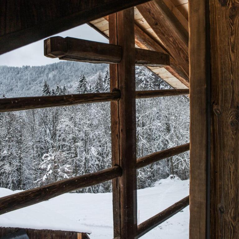 Chalet Drozin - PORTES DU SOLEIL 23 pers - Chalet - 85