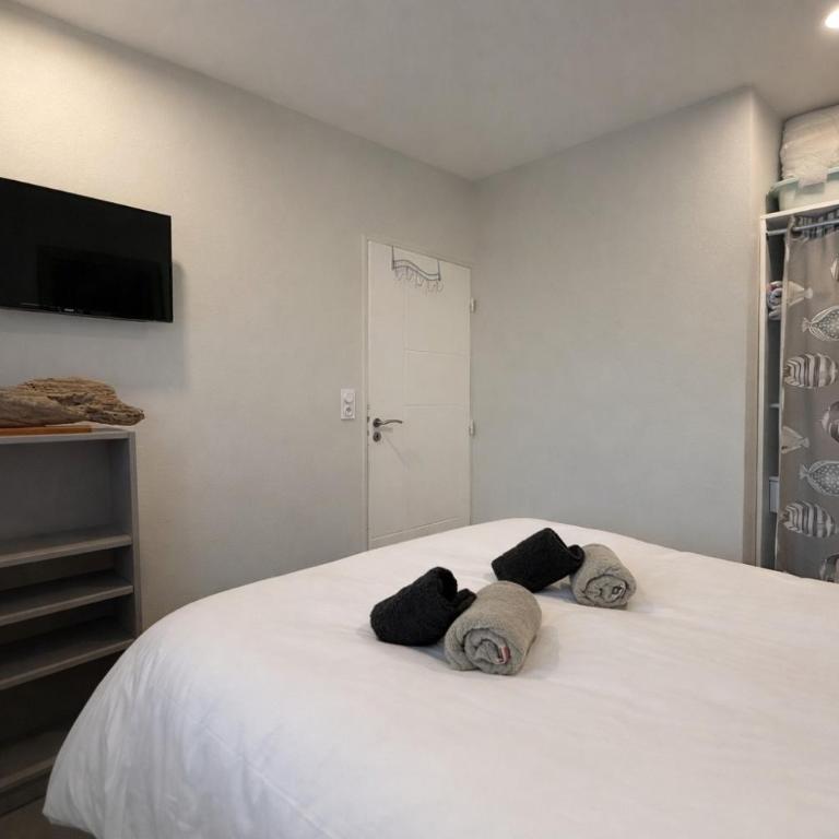 Les pieds dans l'eau, incroyable vue mer - 4 pers - Apartamento de 2 dormitorios - 12